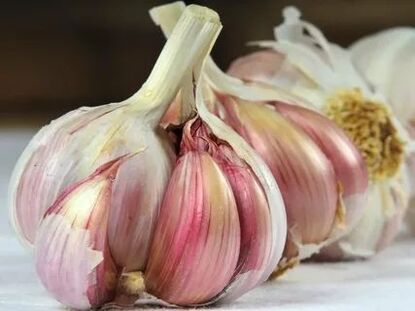 garlic for warts and papillomas
